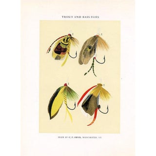 Vintage Trout and Bass Fishing Flies Print by Charles Orvis, Original Vintage Fishing Print, Lithograph For Sale