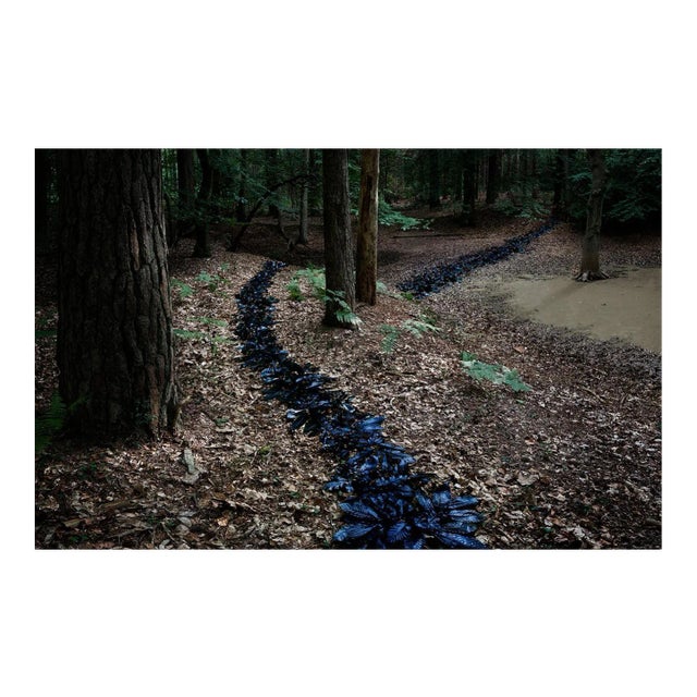 Ellie Davies, Knit One, Pearl One 1, 2011, Photograph For Sale