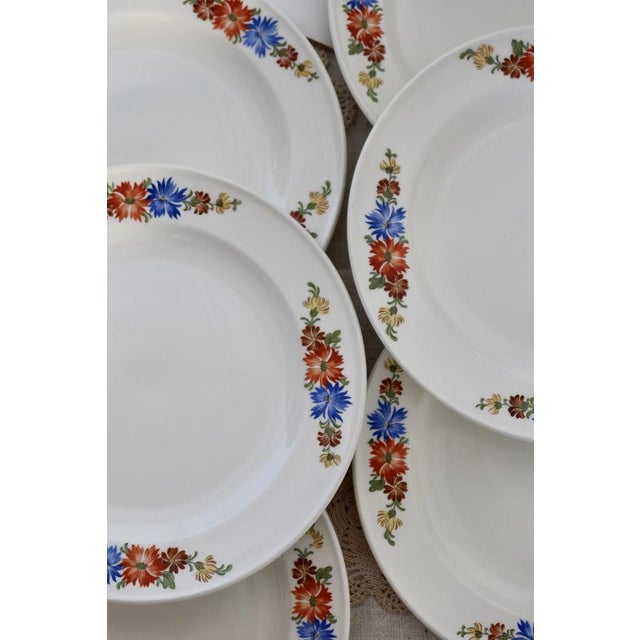 Earthenware Dessert Plates with Polychrome Floral Patterns from Royal Sphinx, Maastricht, Belgium, Set of 6 For Sale - Image 9 of 12