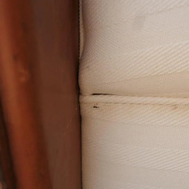 Lounge Chair by Franz Sartori, 1970s For Sale - Image 12 of 13