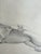 1944 Figure Study Drawing Pencil on Paper 19”x25” For Sale - Image 4 of 6