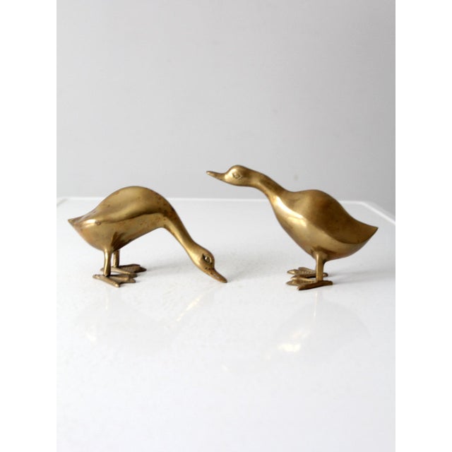 Mid Century Brass Bird Pair For Sale - Image 6 of 12