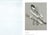 1980s Silver Bridal Cake Knife., La Regence For Sale - Image 11 of 11