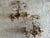 Mid-Century Modern Florentine Gilt Wall Sconces with Glass Ivy Leaves, 1970s, Set of 2 For Sale - Image 3 of 16
