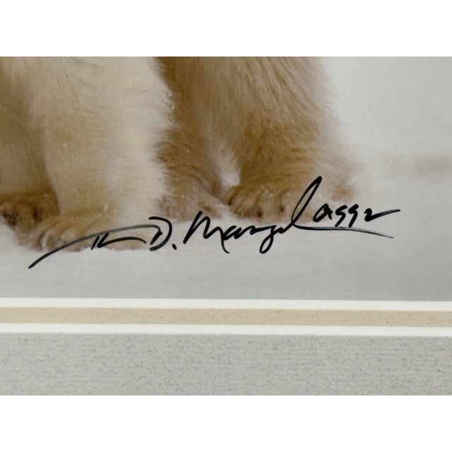 Thomas Mangelsen Images of Nature Collection of Polar Expressions Photography, Signed For Sale - Image 10 of 12