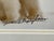 Thomas Mangelsen Images of Nature Collection of Polar Expressions Photography, Signed For Sale - Image 10 of 12