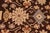 1990s Boho Chic Brown/Beige Wool Rug - 8'1'' X 9'8'' For Sale - Image 5 of 10