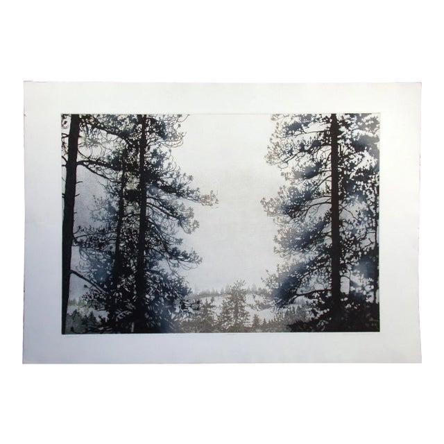 1980s "Olympia" Pine Trees Landscape Etching by Catherine Ruane O'Connor For Sale
