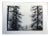 1980s "Olympia" Pine Trees Landscape Etching by Catherine Ruane O'Connor For Sale
