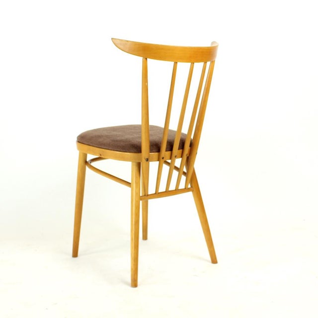 Dining Chairs from Tatra, Former Czechoslovakia, 1960s, Set of 4 For Sale - Image 6 of 11