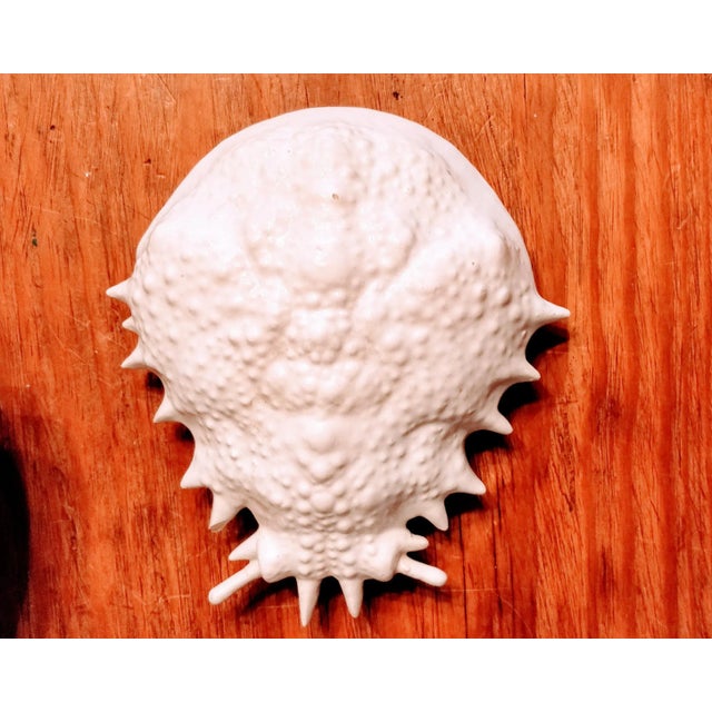 Trompe l'Oeil Italian White Majolica Crab Covered Dish Seashells For Sale - Image 4 of 13
