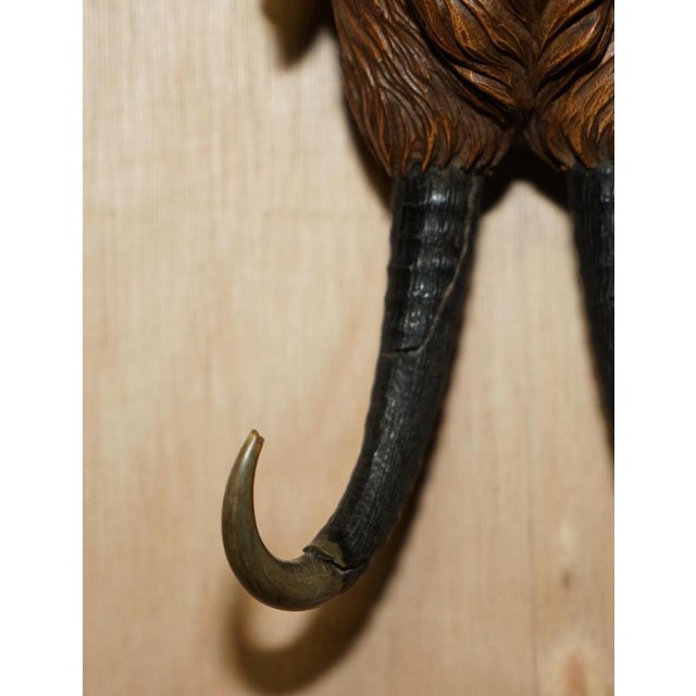 Gold Antique Musical Black Forest Hand Carved Fox Whip Hook, 1880 For Sale - Image 8 of 18