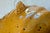 Vintage Majolica Coastal Scallop Shell Centerpiece Bowl With Figural Fish Feet For Sale In Tampa - Image 6 of 10