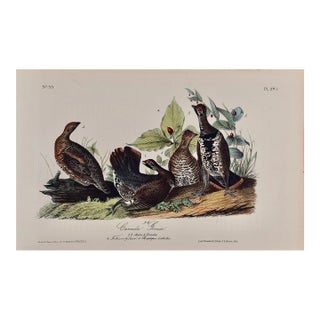 Audubon Canada Grouse: An Original 19th C. Audubon 1st Ed. Hand-Colored Bird Lithograph, 1840-1844 For Sale
