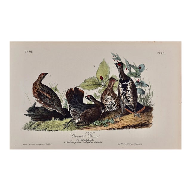 Audubon Canada Grouse: An Original 19th C. Audubon 1st Ed. Hand-Colored Bird Lithograph, 1840-1844 For Sale