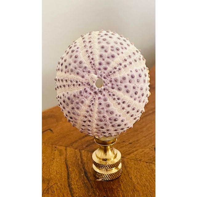 Coastal Gorgeous Purple Sea Shells Lamp Finials For Sale - Image 3 of 4