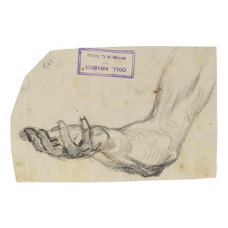 Luigi Galli, Anatomical Studies, Late 19th Century, Pencil on Paper For Sale