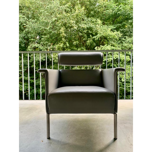 Animal Skin Vintage Lounge Chair from de Sede, 2000s For Sale - Image 7 of 15