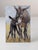 20th Century, Portrait of a Donkey in Maternity, 1980s, Oil Painting on Panel For Sale - Image 9 of 9