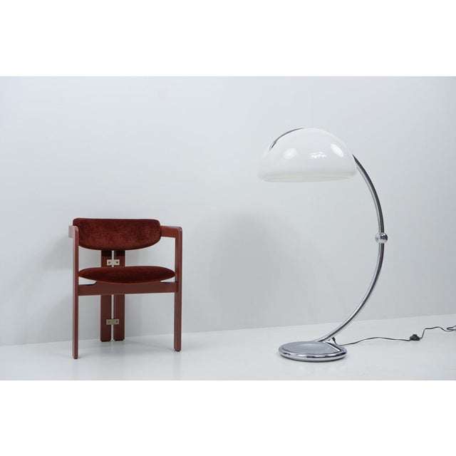 Serpente Floor Lamp from Martinelli Luce, Italy, 1970s For Sale - Image 13 of 15