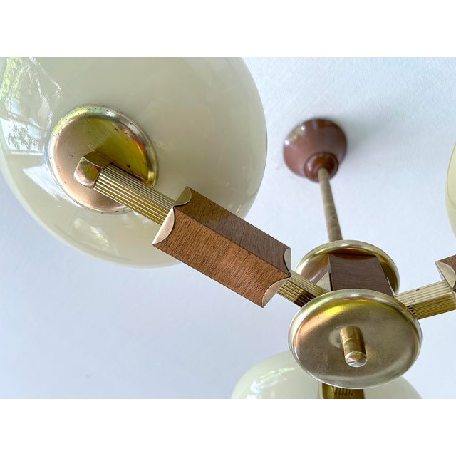 Art Deco Wood and Glass Pendant Light, 1930s For Sale - Image 15 of 18