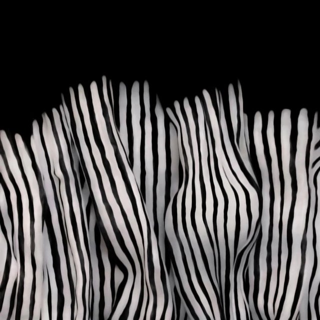 in studio, Vancouver BLACK & WHITE SPIDER AWARDS 2019 HONOURABLE MENTION :: Abstract / Professional category Judged by...