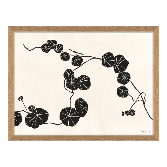 Nasturtium by Susan Hable For Sale