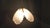 Vintage Italian Glass and Brass Chandelier, 1970s For Sale - Image 8 of 16