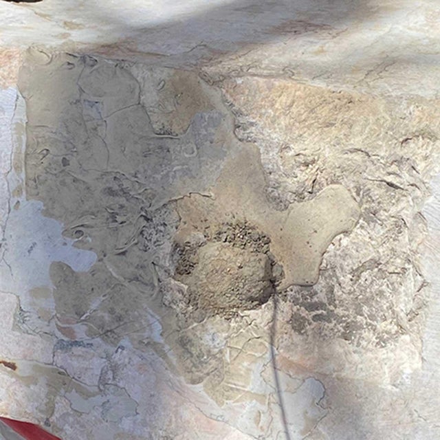 French Gothic Revival Hard Stone Fountain Pedestal Basin For Sale - Image 16 of 16