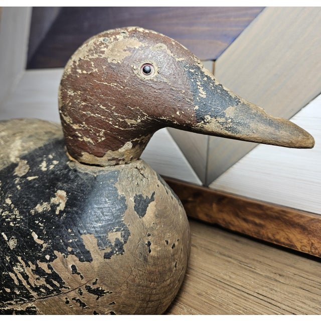 Early 20th Century Canvasback Duck Decoy With Original Glass Eyes For Sale - Image 10 of 13