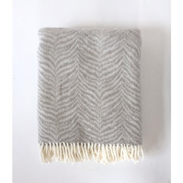 Fringed Gray Tiger Throw Blanket Chairish