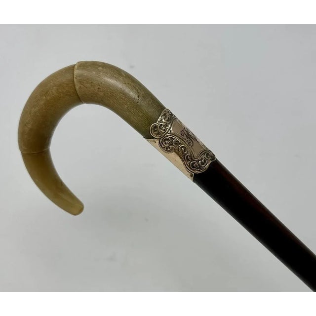 Antique Vintage English Walking Stick Cane Wooden Gold Plated Cow Horn Handle For Sale - Image 4 of 8