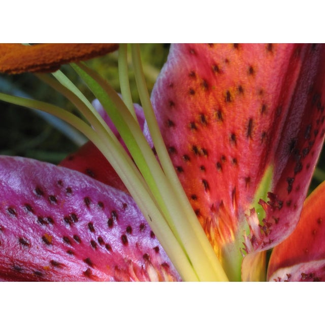 This large 40" x 30" abstract photographic print is by designer/artist/photographer Joseph Fountain, created in 2015. From...