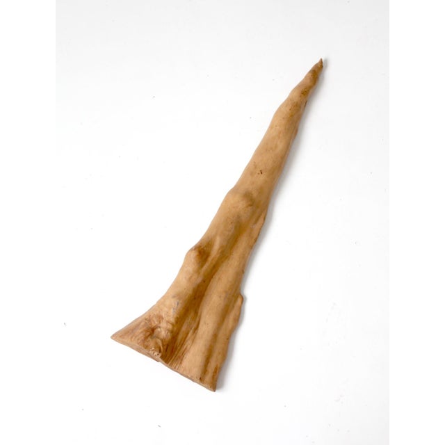 Natural Sculptural Wood Form For Sale - Image 10 of 11
