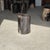 Side Table in Black Petrified Wood with Beige Fine Mesh Pattern For Sale - Image 15 of 18