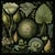 Set of 15 - 90' X 54' Evergreen Organic Modern Gallery Wall Installation Botanical Prints - Dark Green, Unframed For Sale - Image 9 of 17