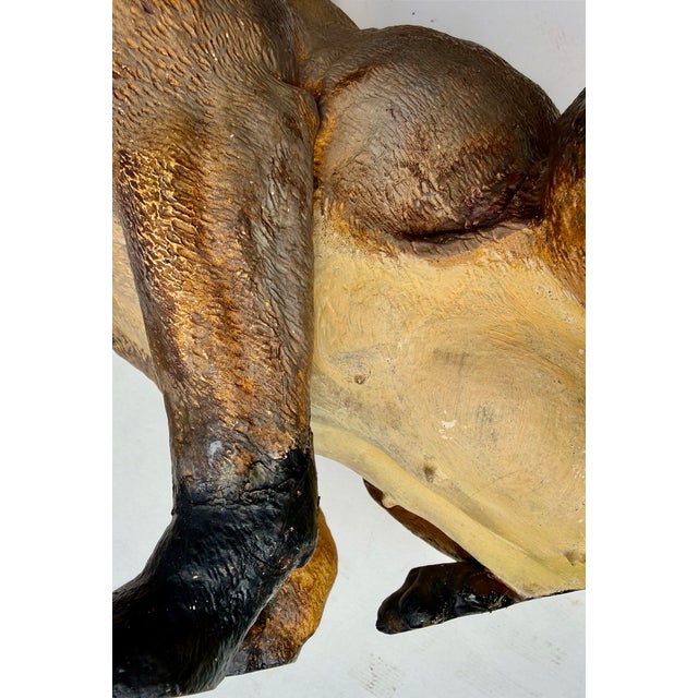 Large 19th Century English Cold-Painted Terracotta Bulldog Figure With Glass Eyes For Sale - Image 17 of 17
