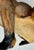 Large 19th Century English Cold-Painted Terracotta Bulldog Figure With Glass Eyes For Sale - Image 17 of 17