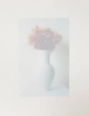 Vase of Flowers, Julian Hayter Screenprint, Signed, Numbered, and Dated in Pencil