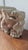 1700s French Gothic Stone Gargoyle Lion Head, Antique Church Architectural Fragment, Medieval Grotesque Sculpture Wall Decor For Sale - Image 9 of 10