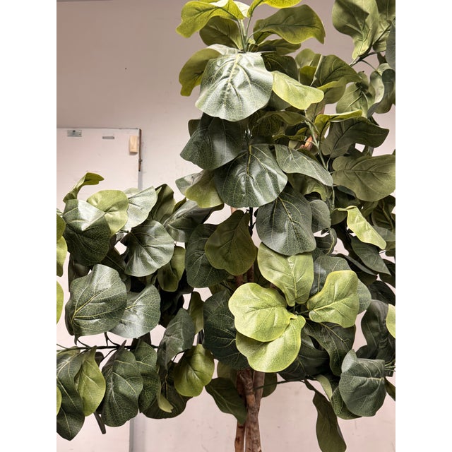 Faux Fiddle Leaf Fig Tree + Tapered Black Planter For Sale - Image 9 of 12