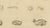 Brodtmann, Fleas, Tarantula & Spiders, 1816, Lithograph For Sale - Image 6 of 11