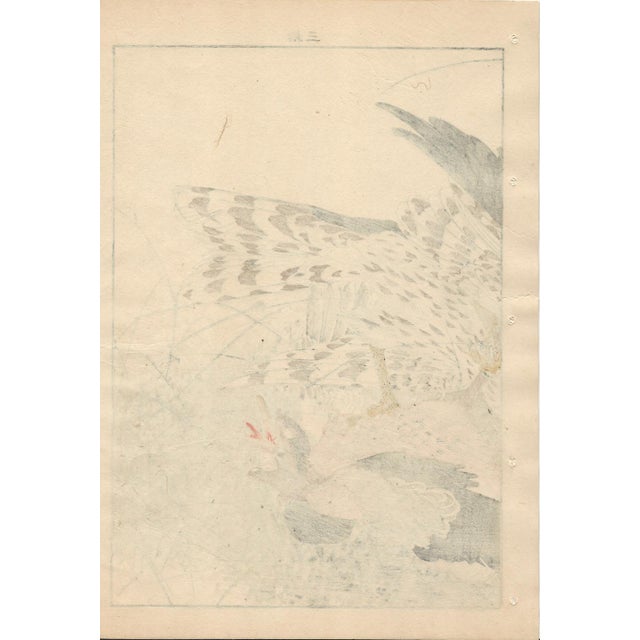 Imao Keinen, Double-Page Eurasian Goshawk Grabbing Eurasian Teal from Keinen Kacho Gafu, 1892, Woodblock Print For Sale - Image 15 of 18