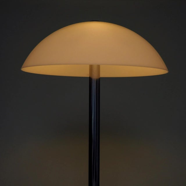 Floor Lamp by Luigi Massoni for Guzzini, 1970s For Sale - Image 10 of 12