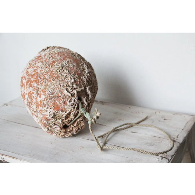 19th Century Antique Terracotta Octopus Trap Vase For Sale - Image 11 of 12