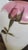 Circa 1900 Victorian Rococo Revival Pink Rose Porcelain & Spelter Mantel Ewer For Sale - Image 11 of 18