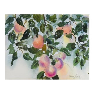 Late 20th Century Fruit Tree Watercolor Painting For Sale