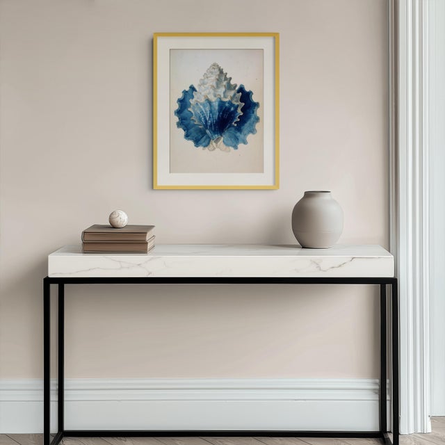 Set of 8 – Blue and White Conch Shells Collection | Coastal Natural History Fine Art Prints For Sale - Image 14 of 18