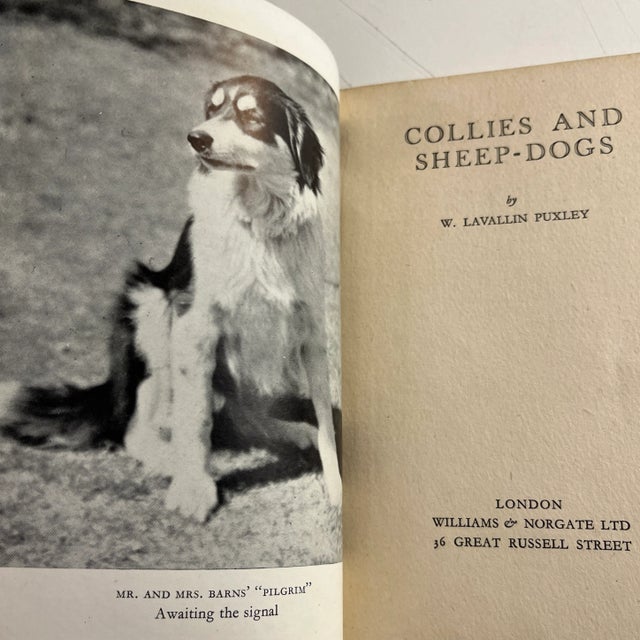 Collies and Sheep-Dogs by W. L. Puxley. Williams & Norgate, London, 1948. First edition. Small hardcover with shabby dust...