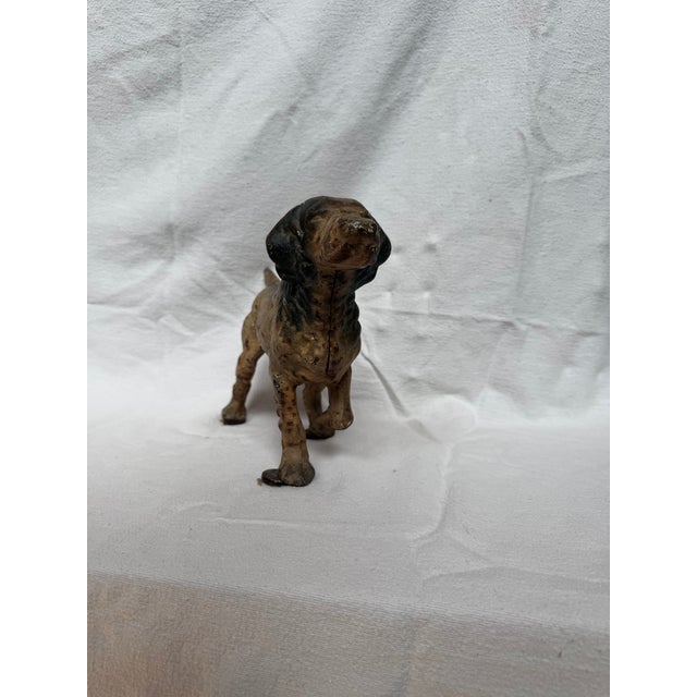 Posing English Setter Ready for the Hunt For Sale - Image 12 of 12
